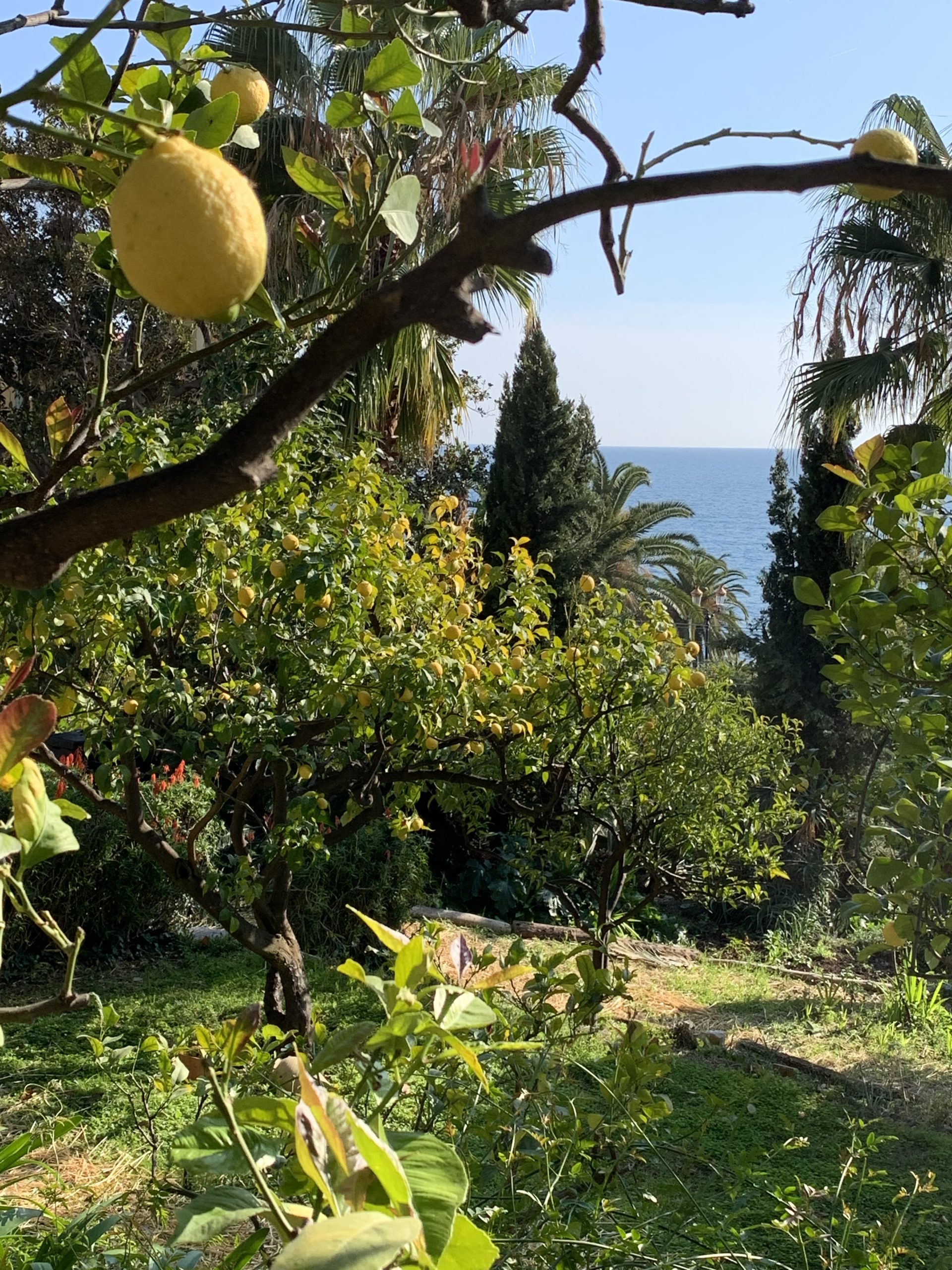 Le jardin de Mauro Colagreco face à la Méditerranée.
